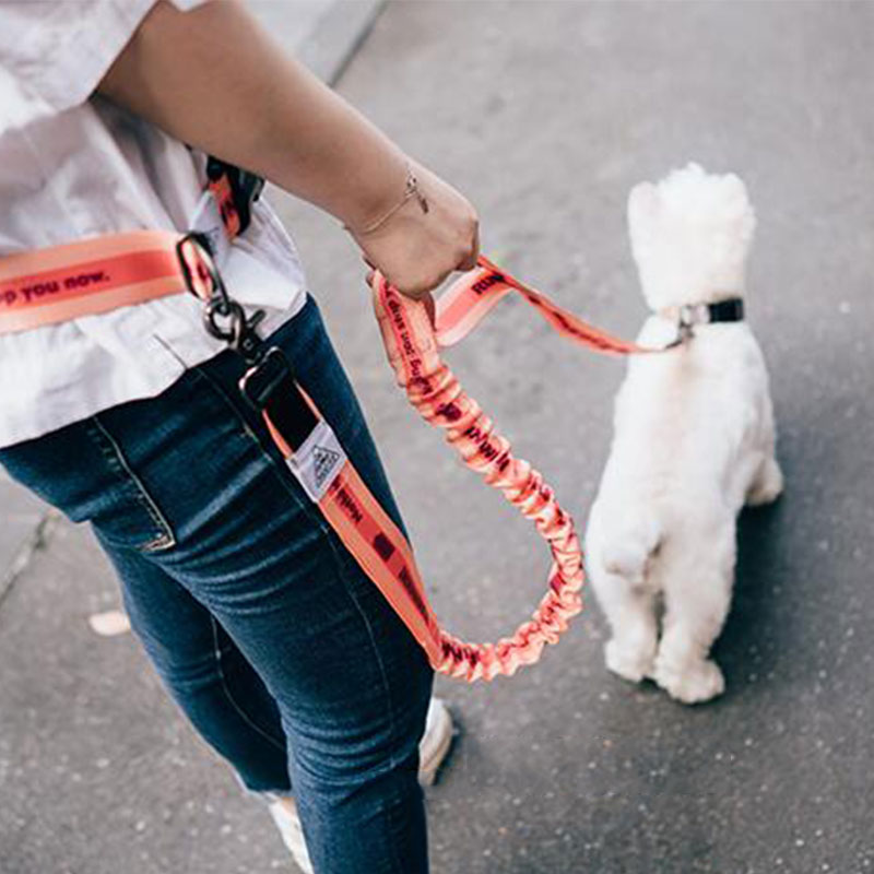Adjustable Hand Free Dog Leash - Running Gear Dog ulasan dan harga