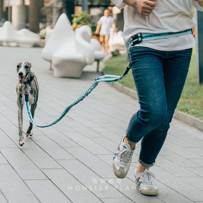Adjustable Hand Free Dog Leash - Running Gear Dog ulasan dan harga