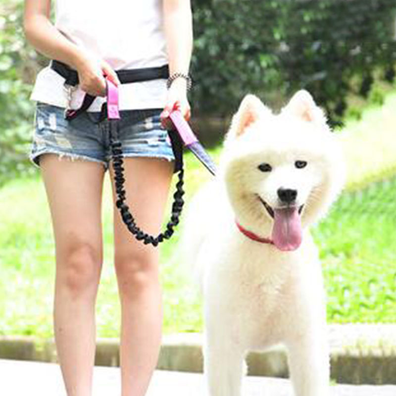 Adjustable Hand Free Dog Leash - Running Gear Dog ulasan dan harga