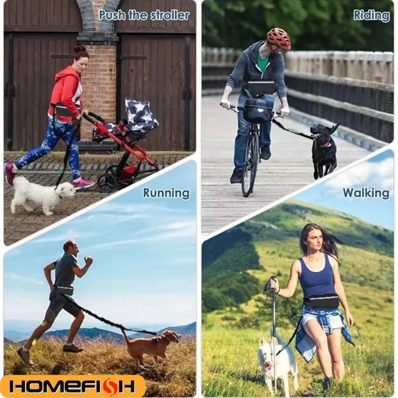 Hands‑Free Reflective Dog Leas - Running Gear Dog ulasan dan harga