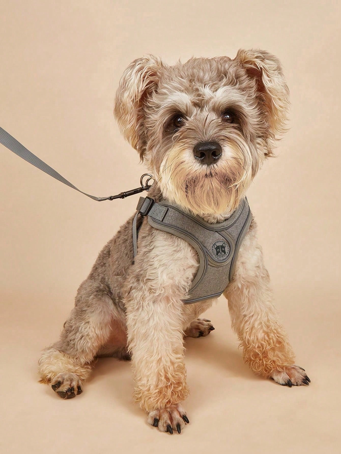 Dog Harness for Small Medium D - Running Gear Dog ulasan dan harga