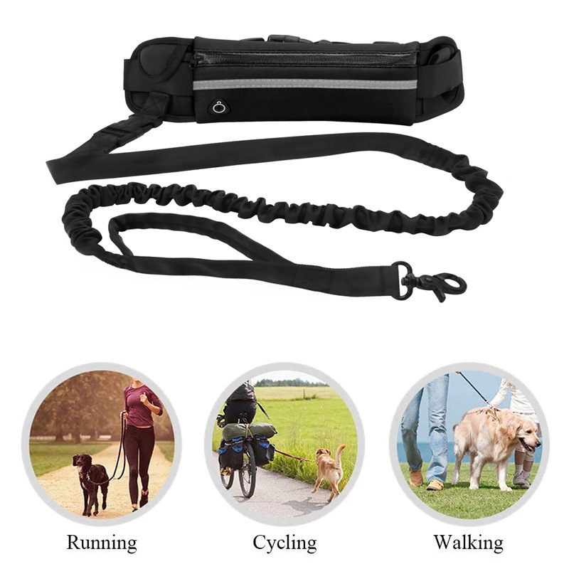 Multifunctional Set of Outdoor - Running Gear Dog ulasan dan harga