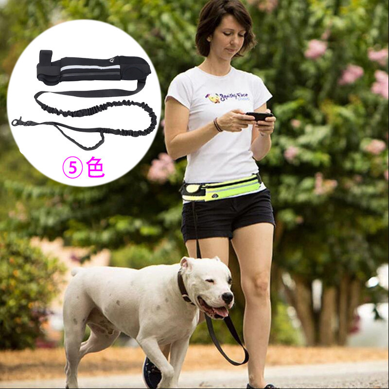 Multifunctional Set of Outdoor - Running Gear Dog ulasan dan harga